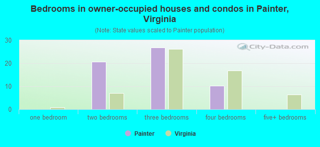 Bedrooms in owner-occupied houses and condos in Painter, Virginia