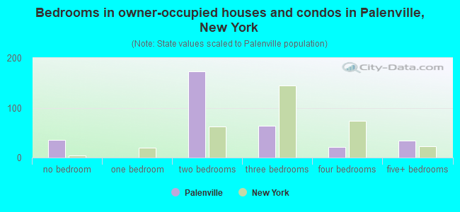 Bedrooms in owner-occupied houses and condos in Palenville, New York