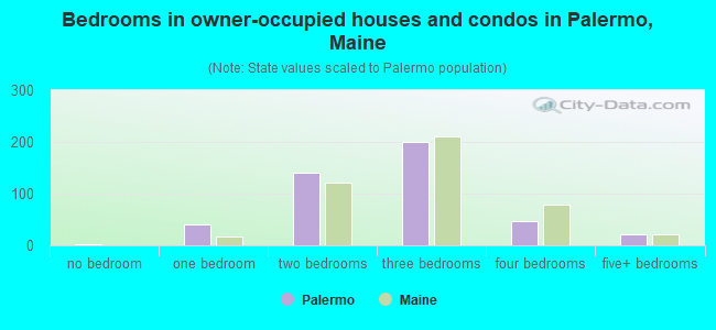 Bedrooms in owner-occupied houses and condos in Palermo, Maine