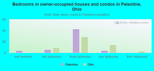 Bedrooms in owner-occupied houses and condos in Palestine, Ohio