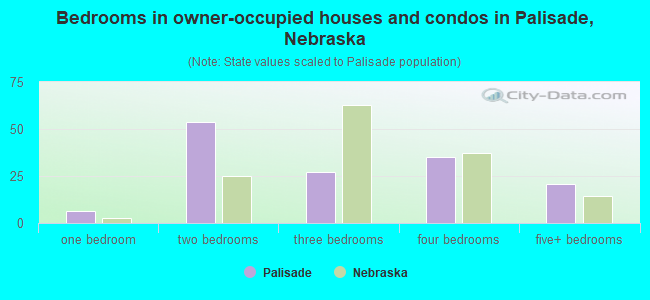 Bedrooms in owner-occupied houses and condos in Palisade, Nebraska