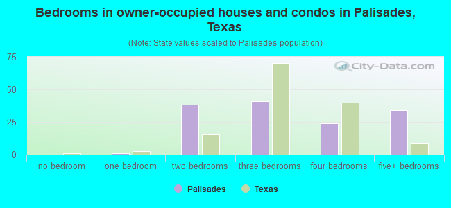Bedrooms in owner-occupied houses and condos in Palisades, Texas
