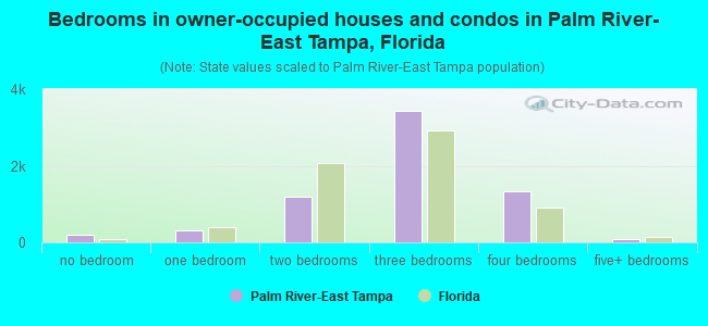 Bedrooms in owner-occupied houses and condos in Palm River-East Tampa, Florida
