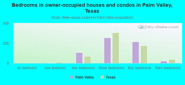 Bedrooms in owner-occupied houses and condos in Palm Valley, Texas