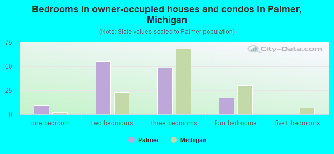 Bedrooms in owner-occupied houses and condos in Palmer, Michigan
