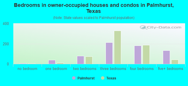 Bedrooms in owner-occupied houses and condos in Palmhurst, Texas