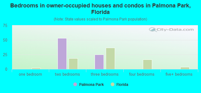 Bedrooms in owner-occupied houses and condos in Palmona Park, Florida
