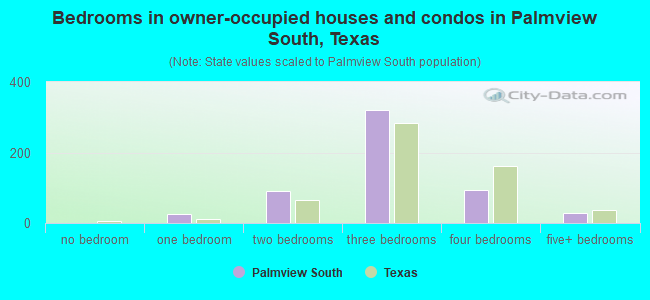 Bedrooms in owner-occupied houses and condos in Palmview South, Texas