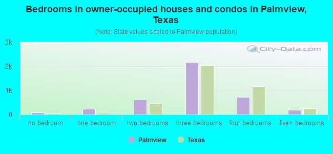 Bedrooms in owner-occupied houses and condos in Palmview, Texas