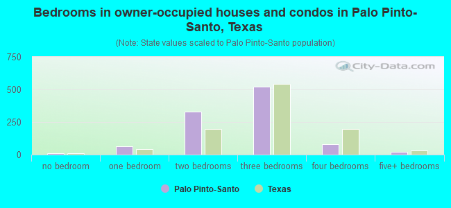 Bedrooms in owner-occupied houses and condos in Palo Pinto-Santo, Texas