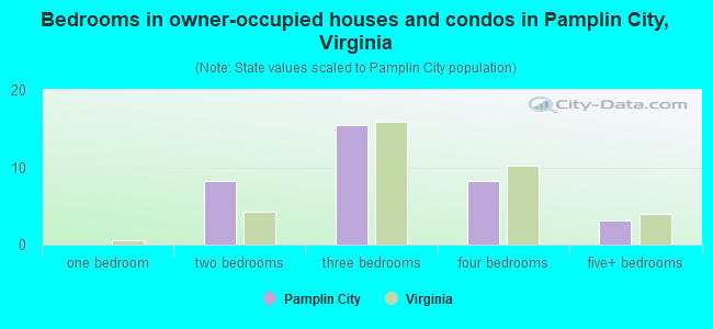 Bedrooms in owner-occupied houses and condos in Pamplin City, Virginia