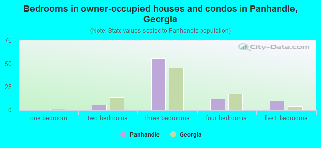 Bedrooms in owner-occupied houses and condos in Panhandle, Georgia