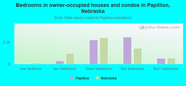 Bedrooms in owner-occupied houses and condos in Papillion, Nebraska