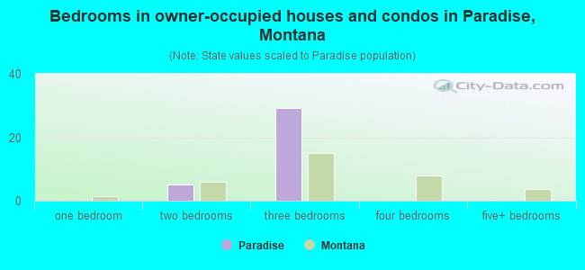 Bedrooms in owner-occupied houses and condos in Paradise, Montana