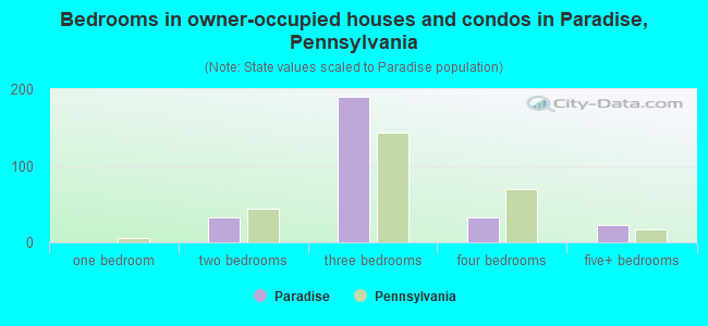 Bedrooms in owner-occupied houses and condos in Paradise, Pennsylvania
