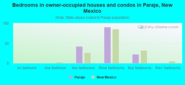 Bedrooms in owner-occupied houses and condos in Paraje, New Mexico
