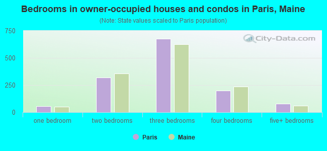 Bedrooms in owner-occupied houses and condos in Paris, Maine