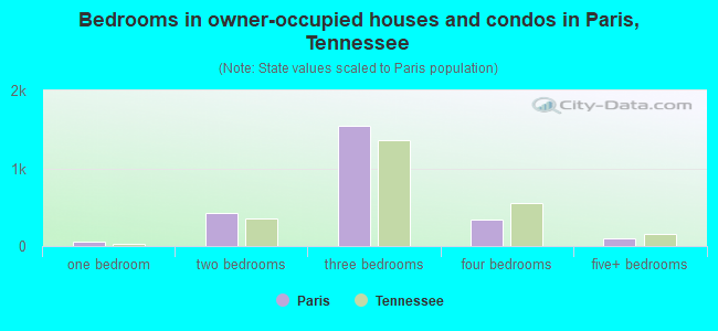 Bedrooms in owner-occupied houses and condos in Paris, Tennessee