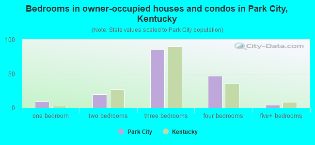 Bedrooms in owner-occupied houses and condos in Park City, Kentucky