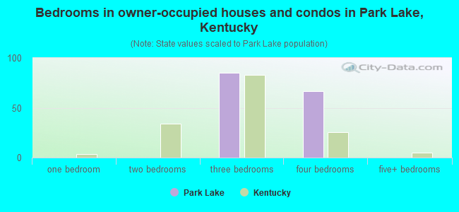 Bedrooms in owner-occupied houses and condos in Park Lake, Kentucky