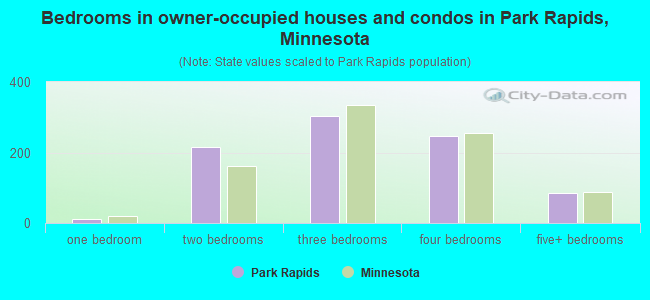 Bedrooms in owner-occupied houses and condos in Park Rapids, Minnesota