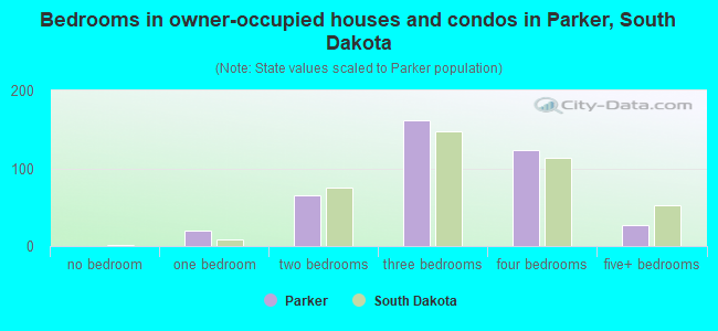 Bedrooms in owner-occupied houses and condos in Parker, South Dakota