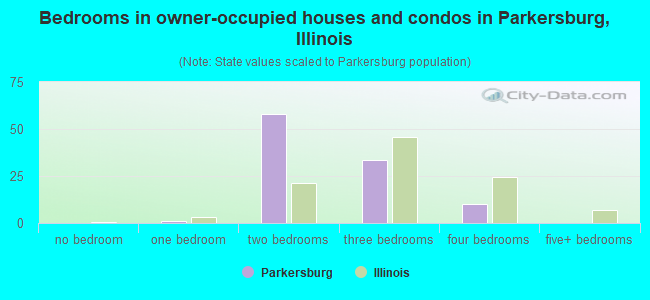 Bedrooms in owner-occupied houses and condos in Parkersburg, Illinois