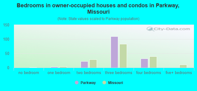 Bedrooms in owner-occupied houses and condos in Parkway, Missouri