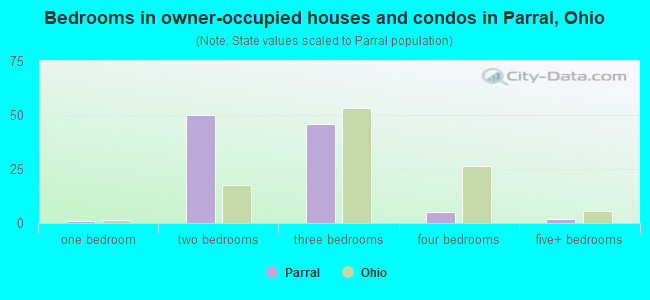 Bedrooms in owner-occupied houses and condos in Parral, Ohio