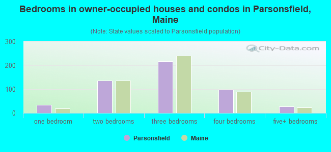 Bedrooms in owner-occupied houses and condos in Parsonsfield, Maine