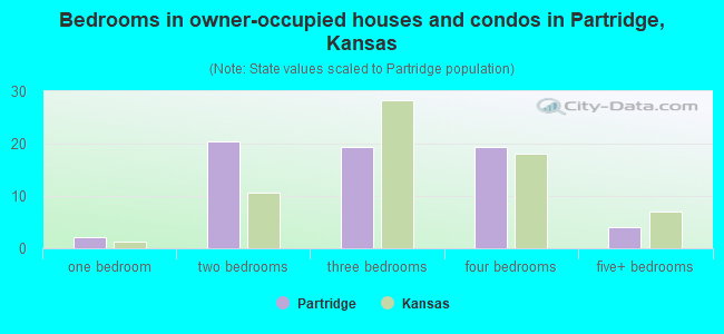 Bedrooms in owner-occupied houses and condos in Partridge, Kansas