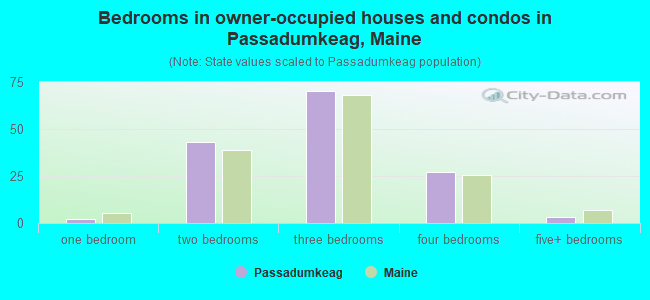 Bedrooms in owner-occupied houses and condos in Passadumkeag, Maine