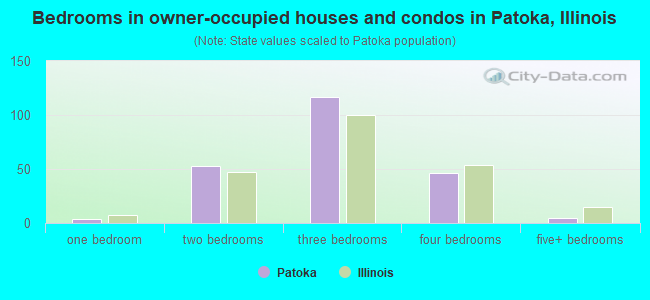 Bedrooms in owner-occupied houses and condos in Patoka, Illinois
