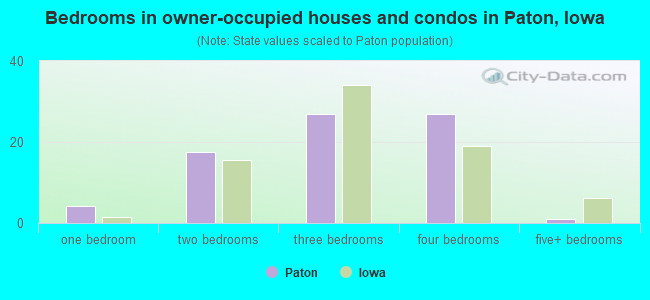 Bedrooms in owner-occupied houses and condos in Paton, Iowa