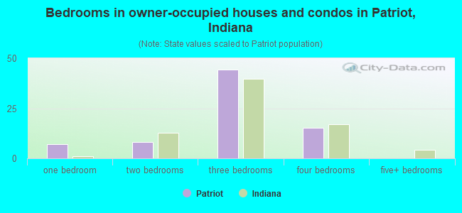 Bedrooms in owner-occupied houses and condos in Patriot, Indiana