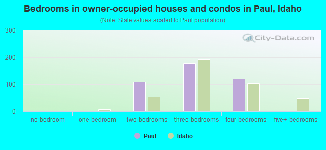 Bedrooms in owner-occupied houses and condos in Paul, Idaho