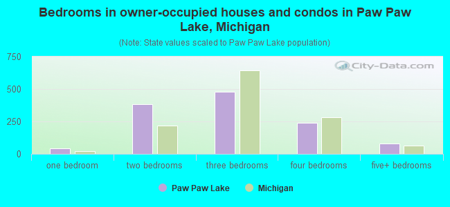 Bedrooms in owner-occupied houses and condos in Paw Paw Lake, Michigan