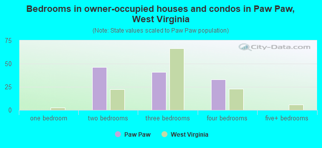 Bedrooms in owner-occupied houses and condos in Paw Paw, West Virginia