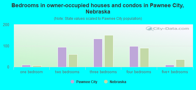 Bedrooms in owner-occupied houses and condos in Pawnee City, Nebraska