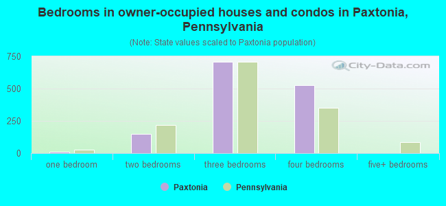Bedrooms in owner-occupied houses and condos in Paxtonia, Pennsylvania
