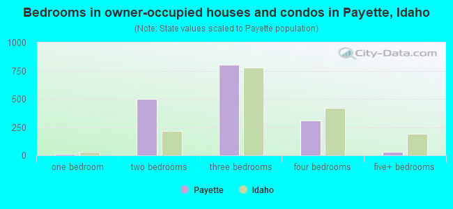 Bedrooms in owner-occupied houses and condos in Payette, Idaho