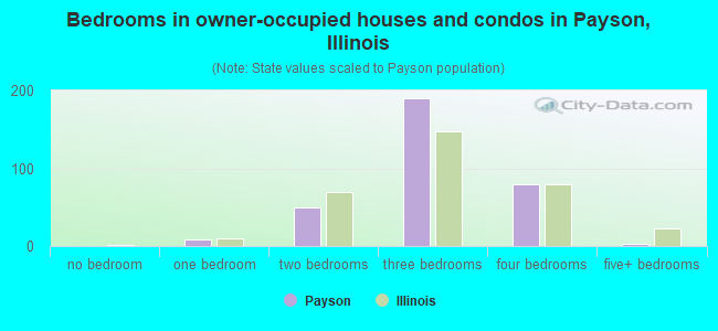 Bedrooms in owner-occupied houses and condos in Payson, Illinois