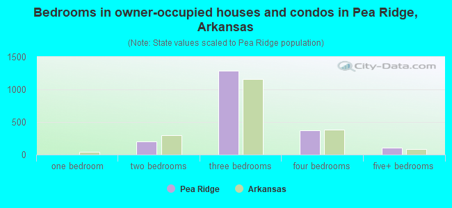 Bedrooms in owner-occupied houses and condos in Pea Ridge, Arkansas