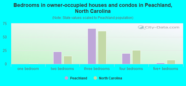 Bedrooms in owner-occupied houses and condos in Peachland, North Carolina