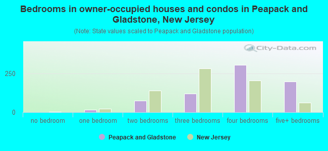 Bedrooms in owner-occupied houses and condos in Peapack and Gladstone, New Jersey