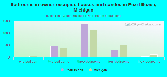 Bedrooms in owner-occupied houses and condos in Pearl Beach, Michigan