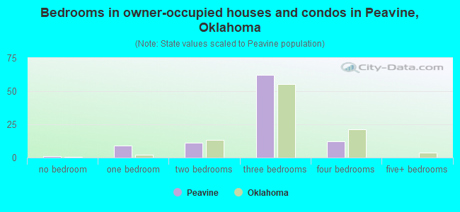 Bedrooms in owner-occupied houses and condos in Peavine, Oklahoma