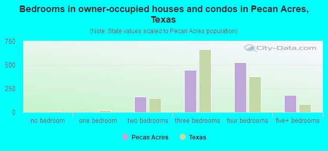 Bedrooms in owner-occupied houses and condos in Pecan Acres, Texas