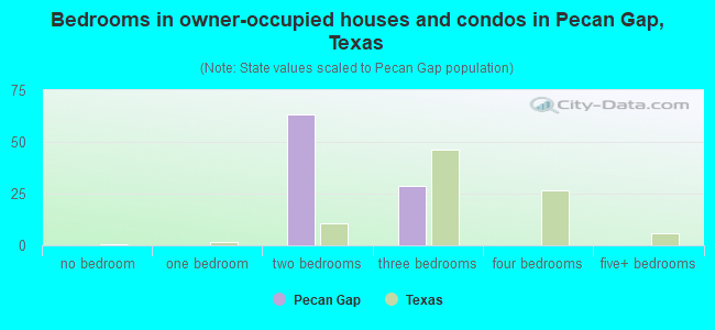 Bedrooms in owner-occupied houses and condos in Pecan Gap, Texas