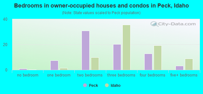 Bedrooms in owner-occupied houses and condos in Peck, Idaho